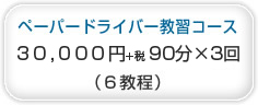 ペーパードライバー教習コース