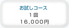臨時コース